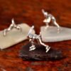 schaatsers zilver