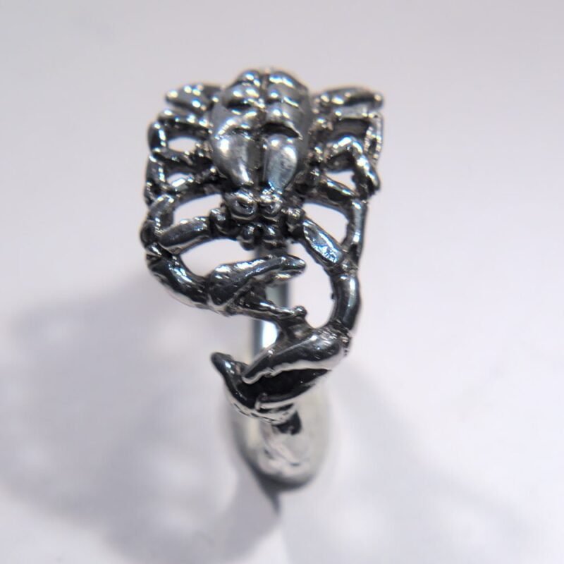 Schorpioen ring