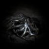 Octopus ring - Afbeelding 7