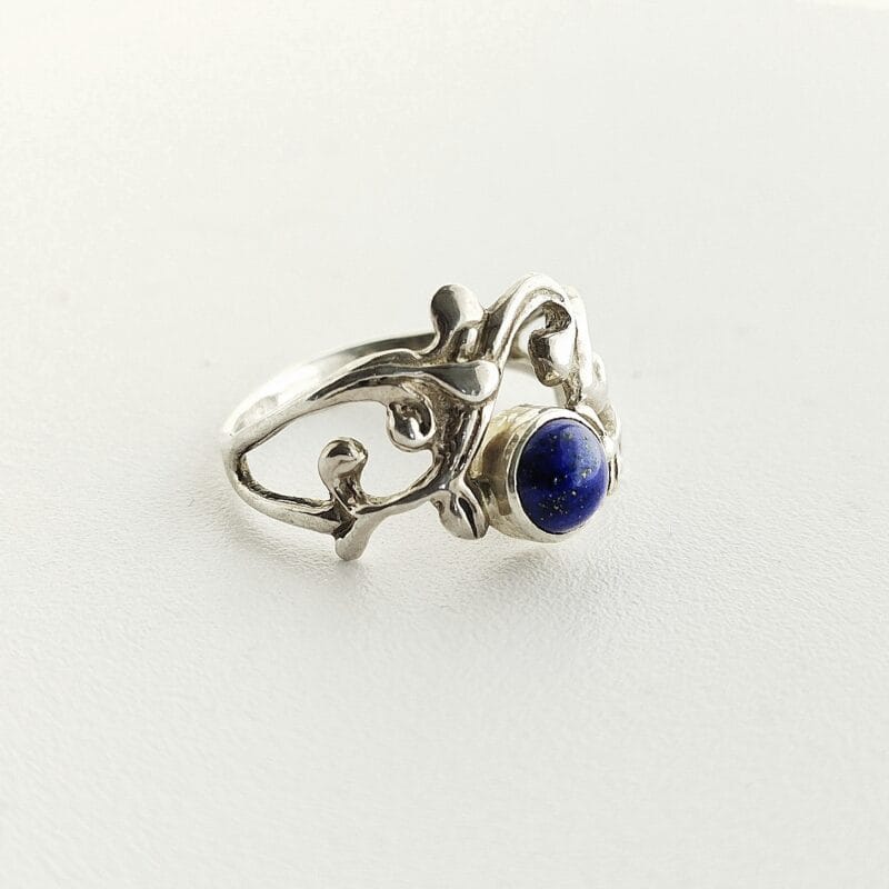 Caelum amicus ring - Afbeelding 3
