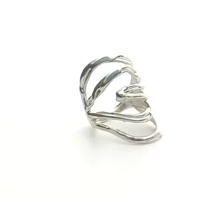 Ambitus, zilveren wikkel duimring